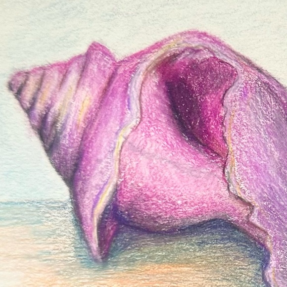 NEW Handmade Hand Crafted Beach Sea Shell Drawing Ocean Object Study Home Art - Picture 5 of 6